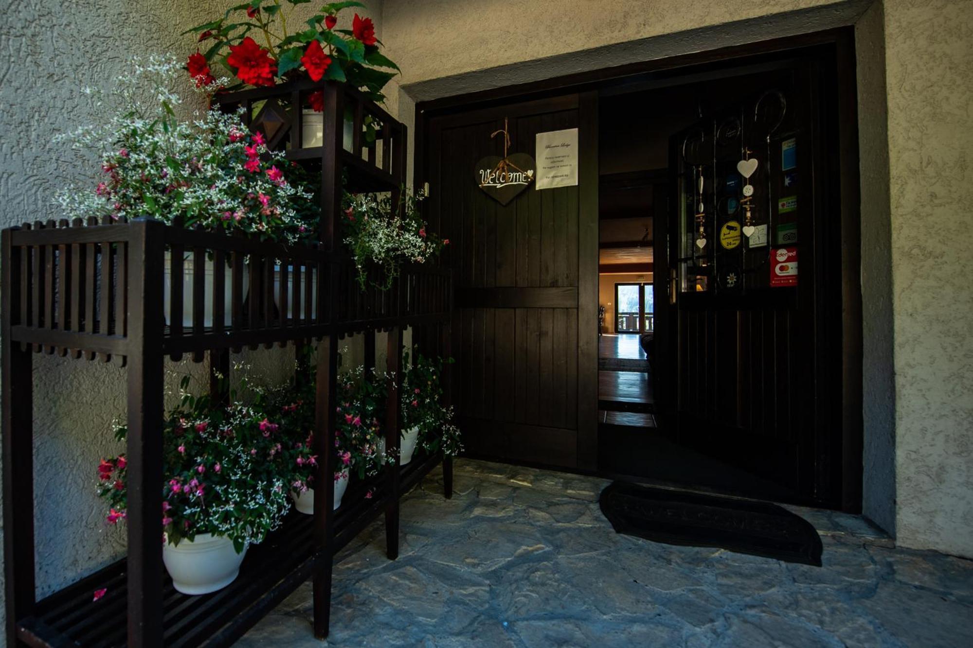 Bucovina Lodge Pension 바마 외부 사진