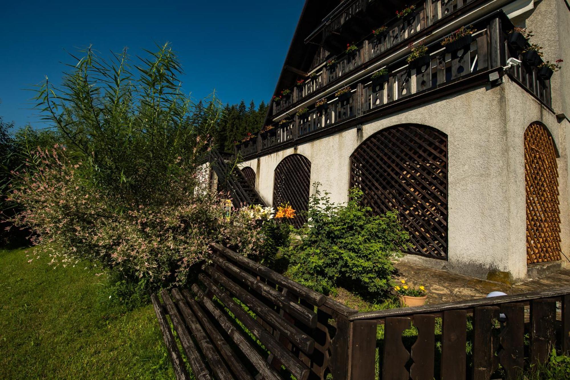 Bucovina Lodge Pension 바마 외부 사진