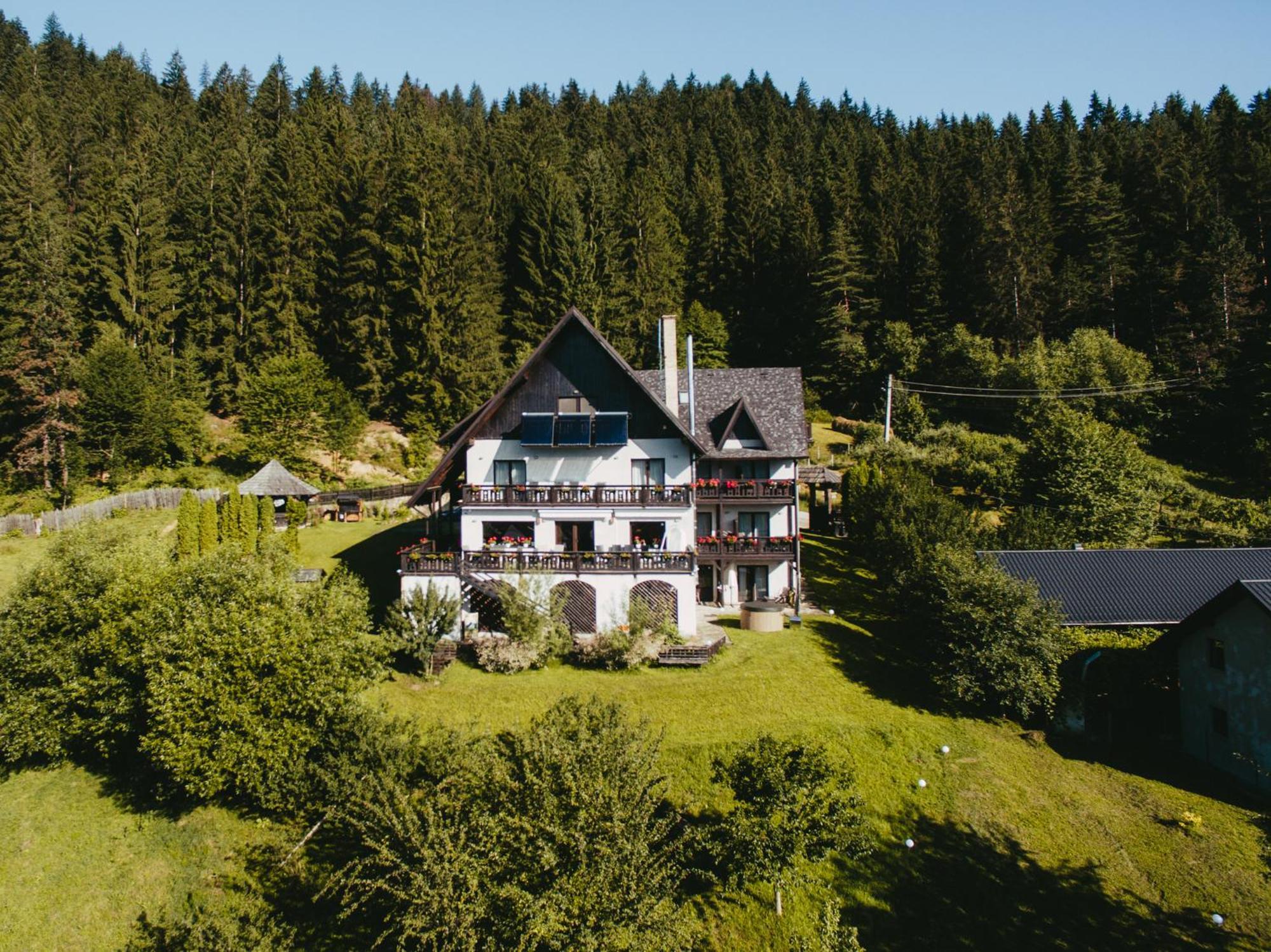Bucovina Lodge Pension 바마 외부 사진