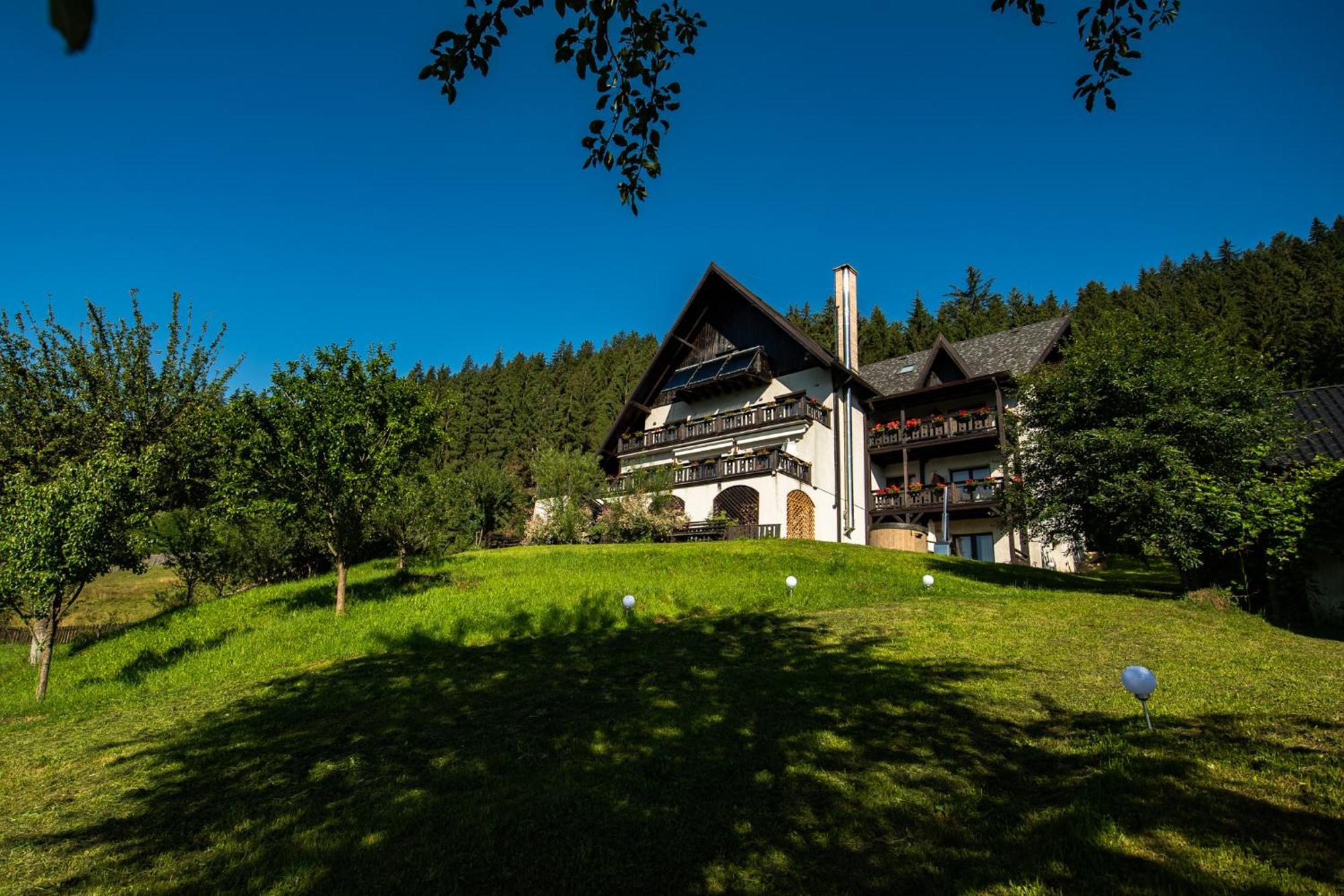 Bucovina Lodge Pension 바마 외부 사진