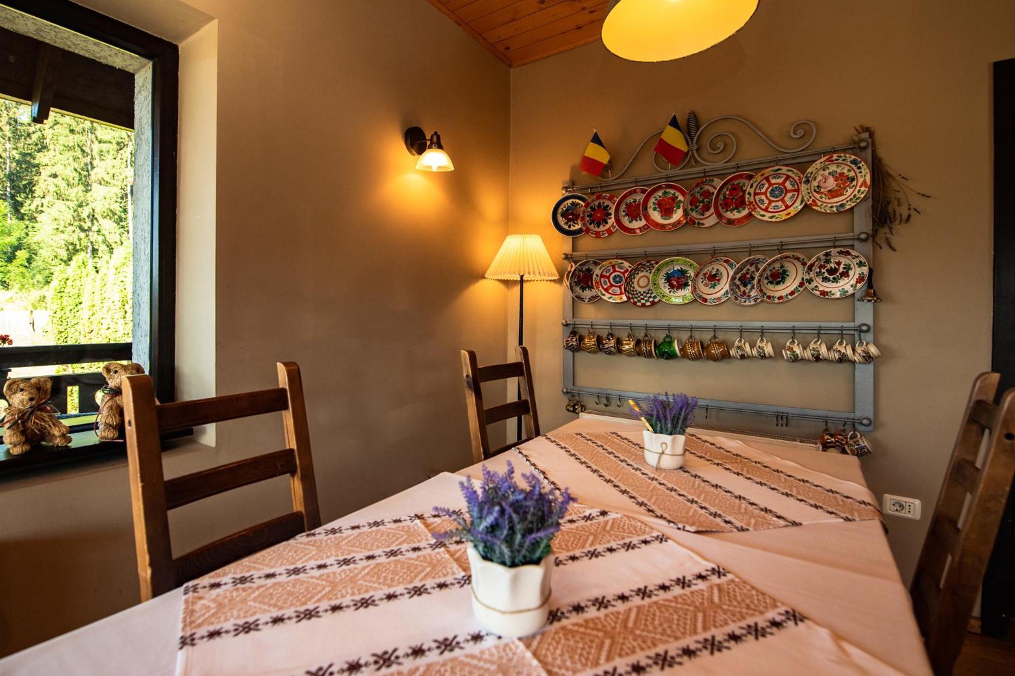 Bucovina Lodge Pension 바마 외부 사진