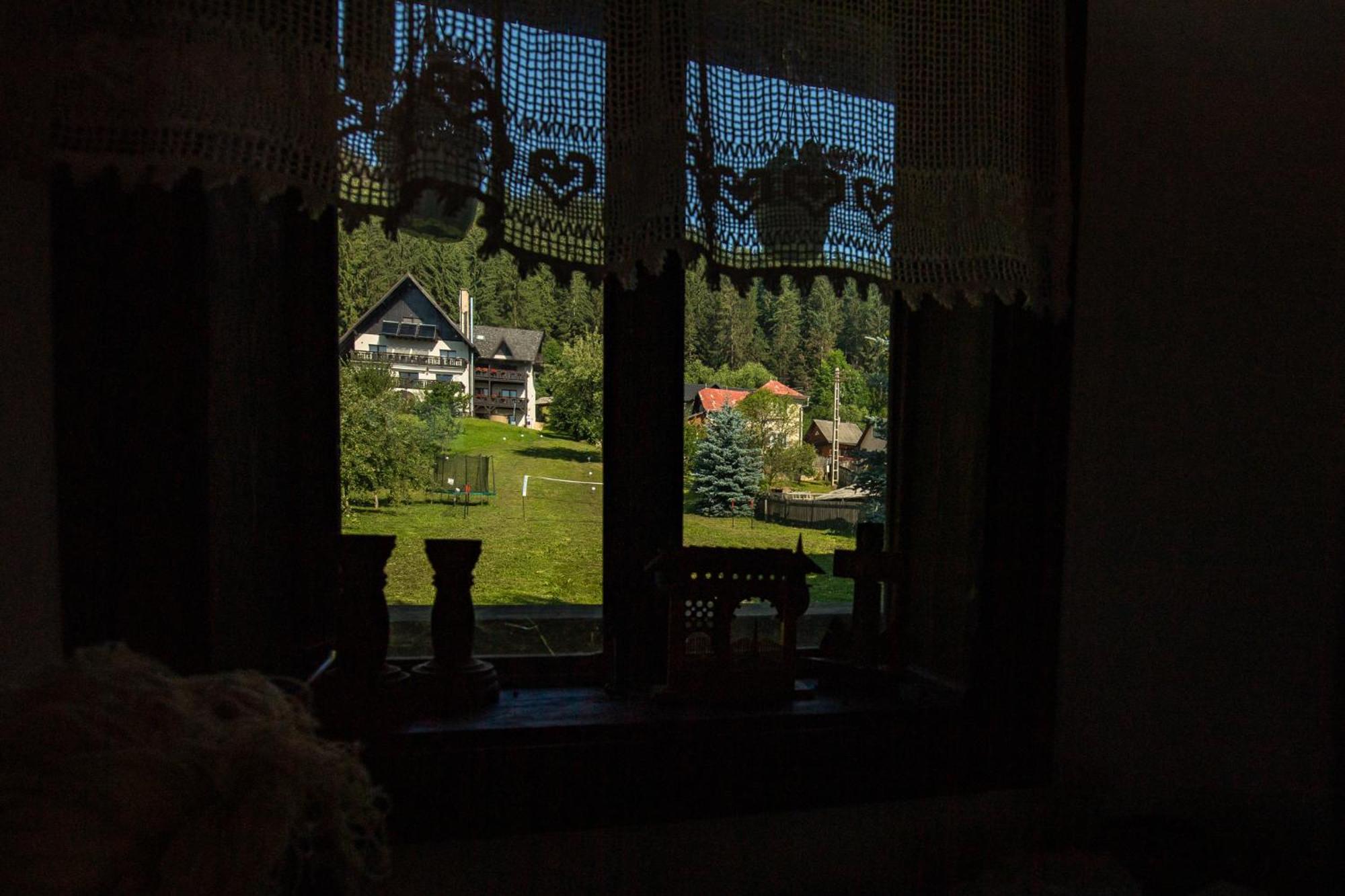 Bucovina Lodge Pension 바마 외부 사진